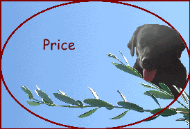 Price