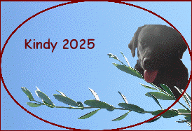 Kindy 2025