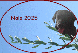 Nala 2025