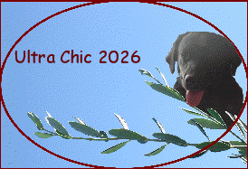 Ultra Chic 2026
