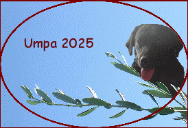 Umpa 2025