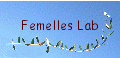 Nos femelles Lab