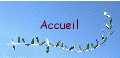 Accueil