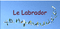 Le Labrador