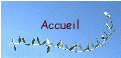 Accueil