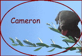 Cameron