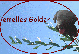 Femelles Golden