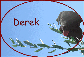 Derek