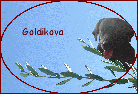 Goldikova
