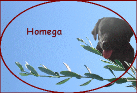  Homega