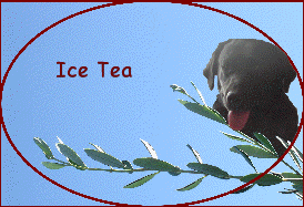 Ice Tea