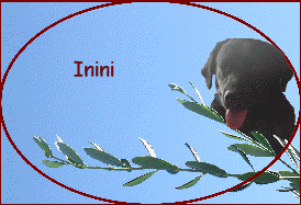 Inini