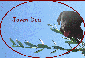 Joven Dea