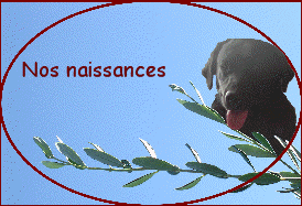 Nos naissances