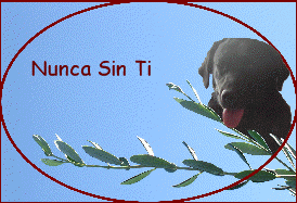 Nunca Sin Ti