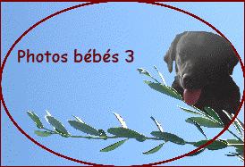 Photos bbs 3