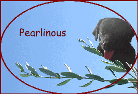 Pearlinous