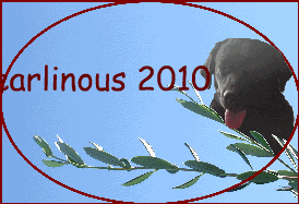 Pearlinous 2010