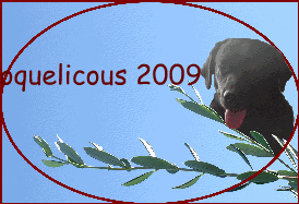 Coquelicous 2009