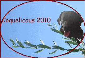 Coquelicous 2010