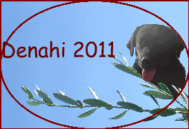 Denahi 2011