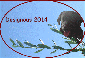 Designous 2014