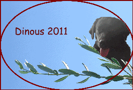 Dinous 2011