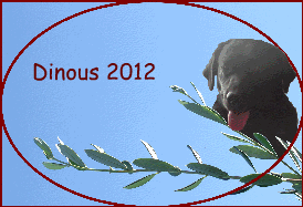 Dinous 2012