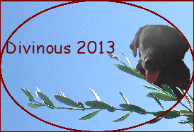 Divinous 2013