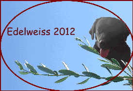 Edelweiss 2012