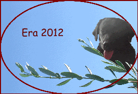 Era 2012