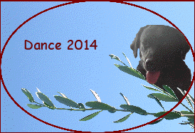 Dance 2014