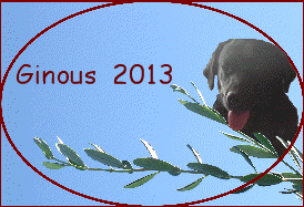 Ginous  2013