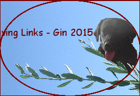 Living Links - Gin 2015