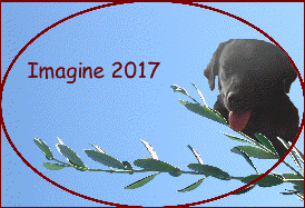 Imagine 2017