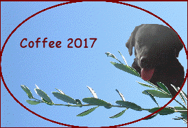 Coffee 2017