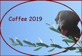 Coffee 2019