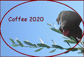 Coffee 2020