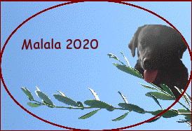 Malala 2020