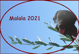 Malala 2021