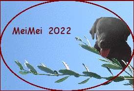 MeiMei  2022