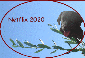 Netflix 2020