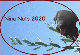 Nina Nuts 2020