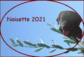 Noisette 2021