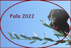 Falls 2022