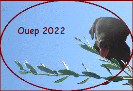 Ouep 2022