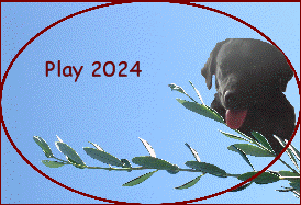 Play 2024