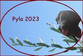 Pyla 2023