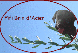 Fifi Brin d'Acier
