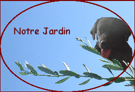 Notre Jardin